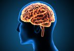Solutions améliorer santé cerveau